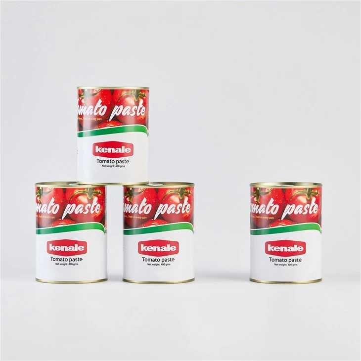 Concentrate Tomato Paste best
