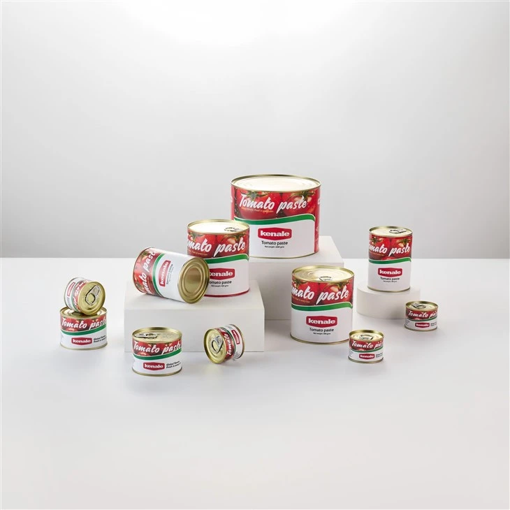Tomato Paste in Can best